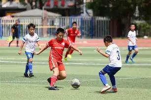 黄金投资税,务解析,星力捕鱼平台,星力捕鱼平台,星力十代捕鱼游戏,正版星力捕鱼,星力捕鱼app