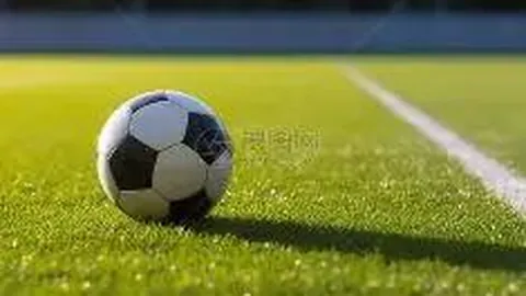 陈意涵公布二宝喜讯，预计年底迎来可爱女儿