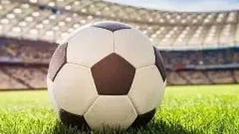 星力捕鱼平台 资讯 115134 ypy