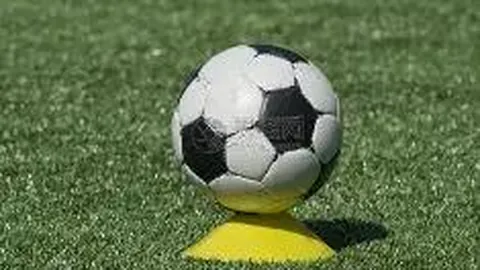 星力捕鱼平台 资讯 120159 s9a