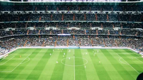 星力捕鱼平台 资讯 095701 5wg