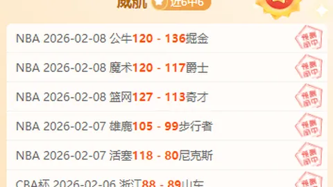 揭秘德乙顶级防线之谜：漏洞频现，数据波动背后的神秘较量